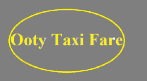 ooty taxi service